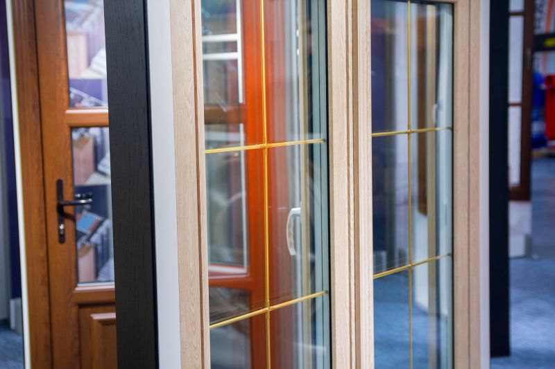 Modern Stained Door with Glass